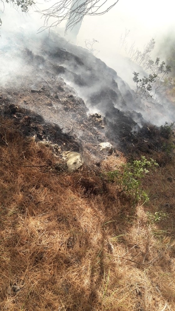 Buldan’da 2,5 Hektarlık Ormanlık Alan Yandı