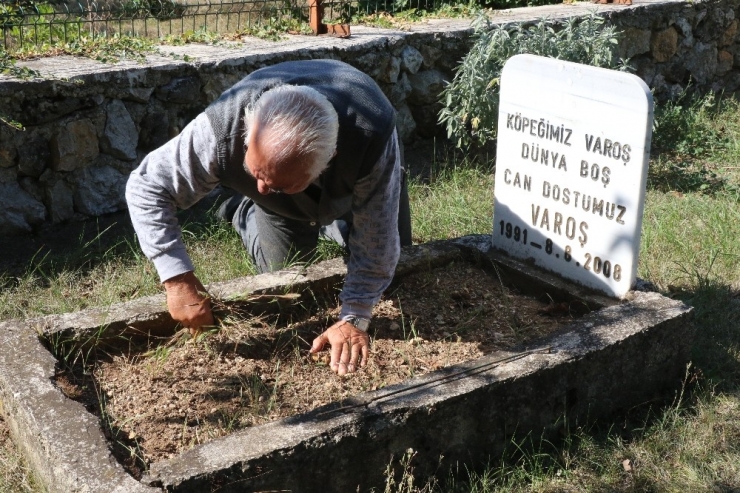 Evinin Bahçesinde Mezar Yaptığı Köpeğini Unutamıyor