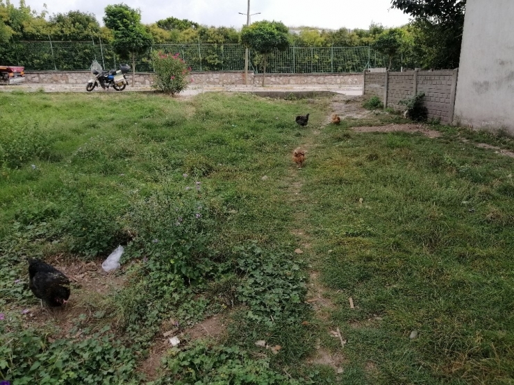 Sosyal Medyada Tepkiler Çığ Gibi Büyüyünce Polis Harekete Geçti