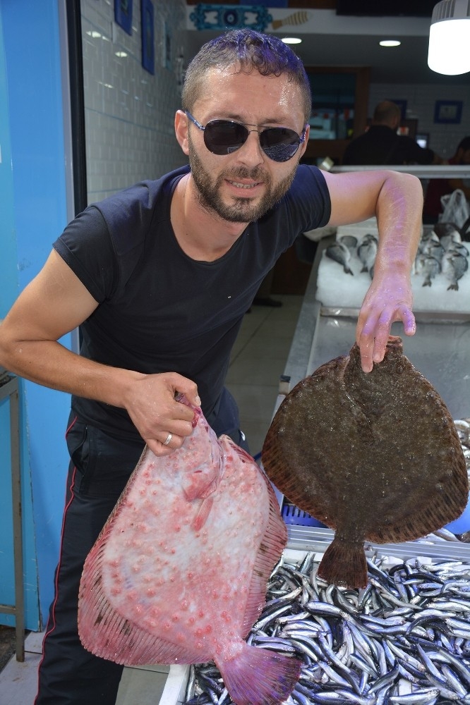 Balıkçıların Yüzü Kalkan Balıklarıyla Güldü