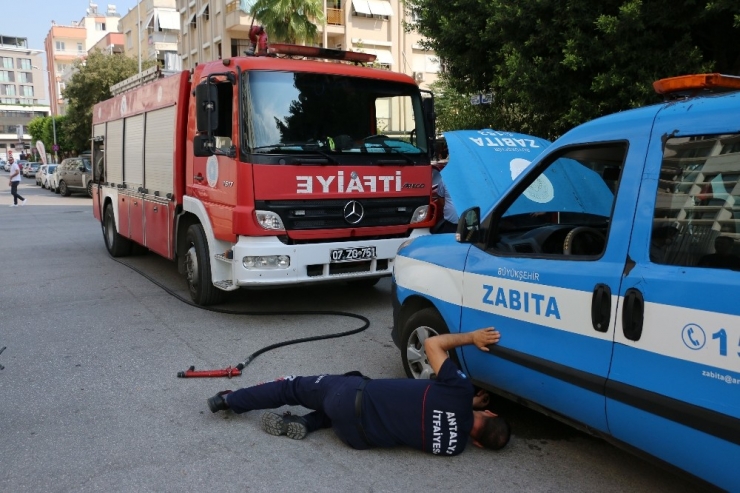 Zabıta Aracındaki Yavru Kedi İçin İtfaiye Seferber Oldu