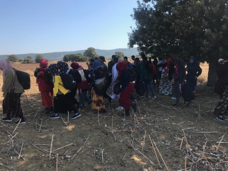 Çanakkale’de 32 Mülteci Yakalandı