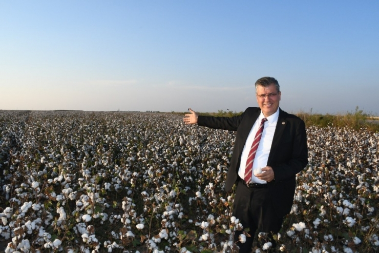 Ayhan Barut: “Pamukta Çözüm İçin Meclis Harekete Geçmelidir”