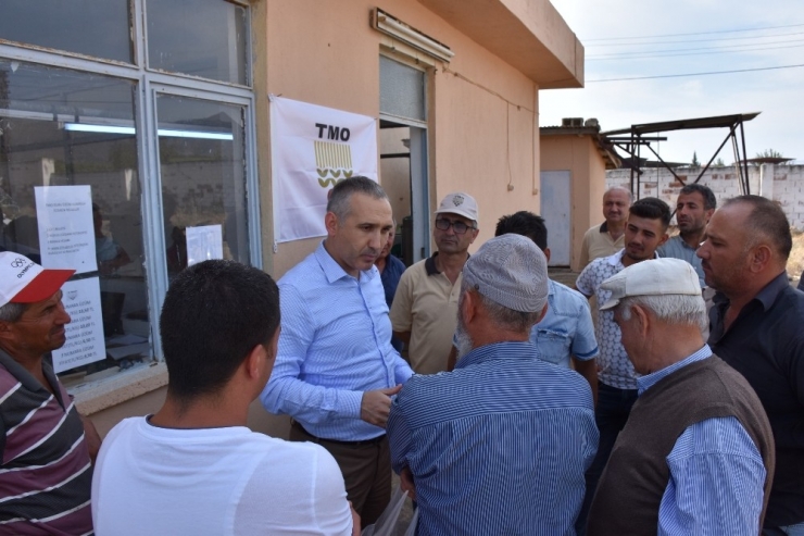 Kuru Üzüm Alımlarına Yerinde İnceleme