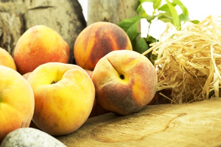 Rusya’ya Şeftali İhracatını İki Kat Hızlandıracak Analiz Desteği