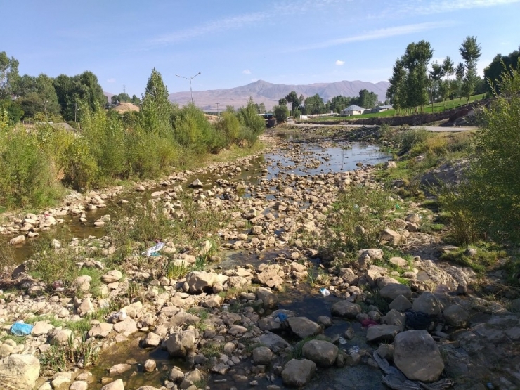İnci Kefalinin Yaşamı Tehlike Altında