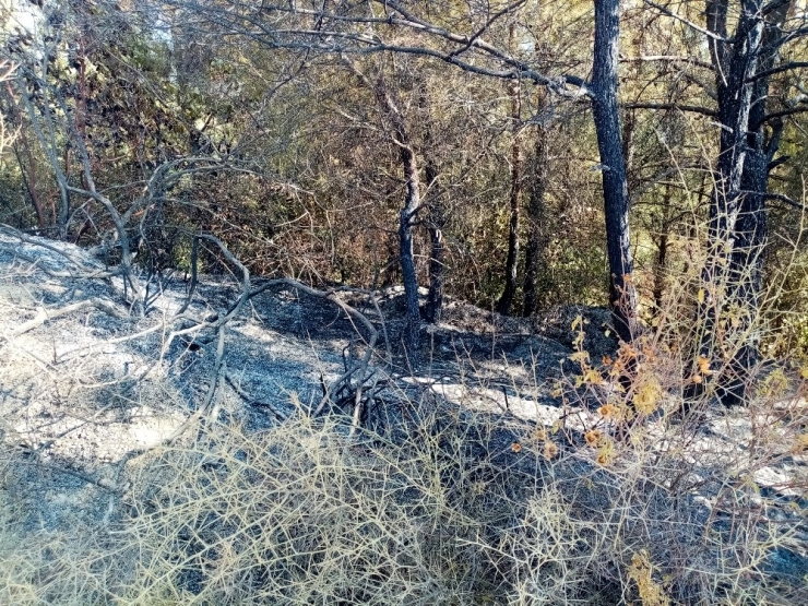 Hatay’da 25 Noktada Çıkan Yangında Soğutma Çalışmaları Sürüyor