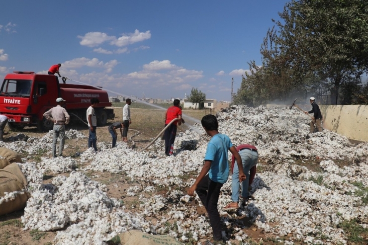 Şanlıurfa’da Tonlarca Pamuk Alev Alev Yandı