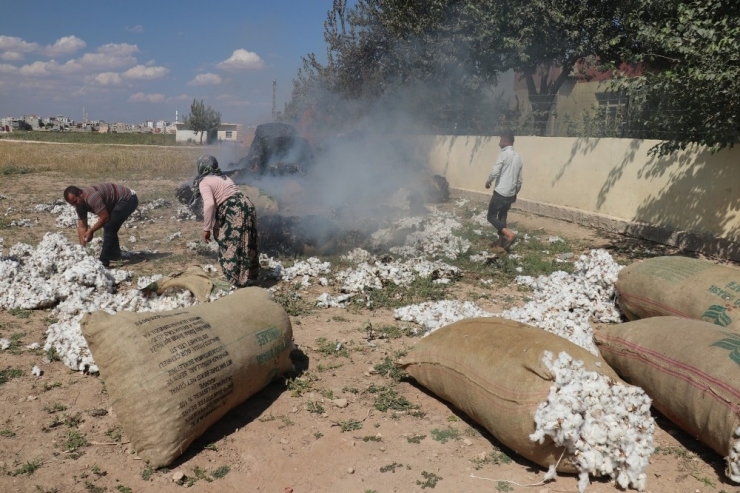 Şanlıurfa’da Tonlarca Pamuk Alev Alev Yandı