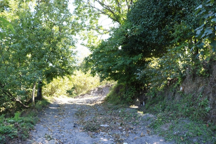 5 Gündür Kayıp Olan Kadının Cesedi Bulundu