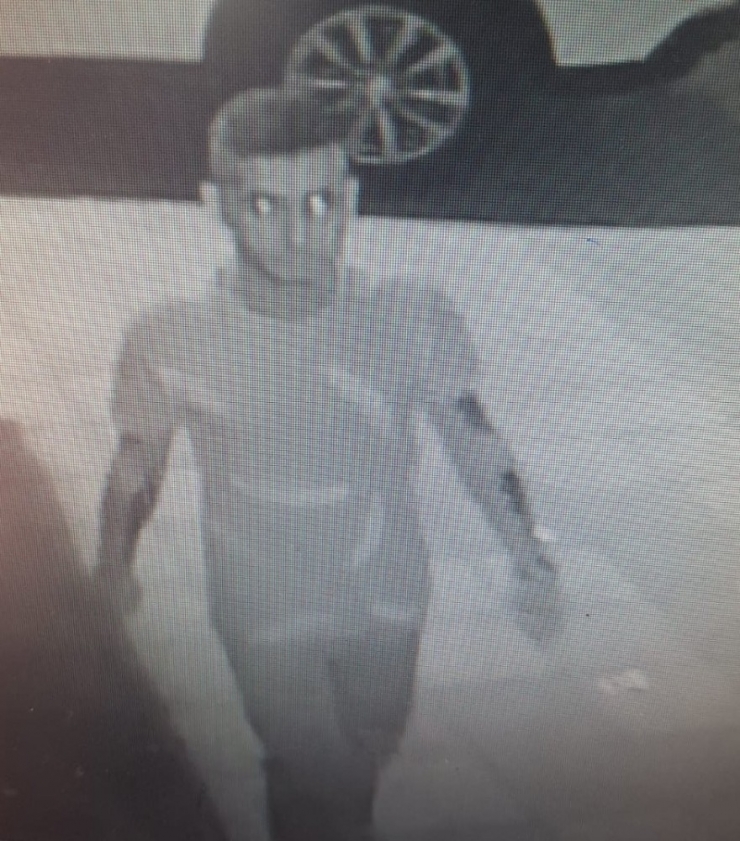 Sağlamcı Kapkaççı