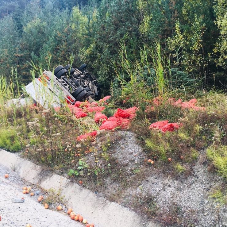 Soğan Yüklü Kamyon Devrildi: 1 Yaralı