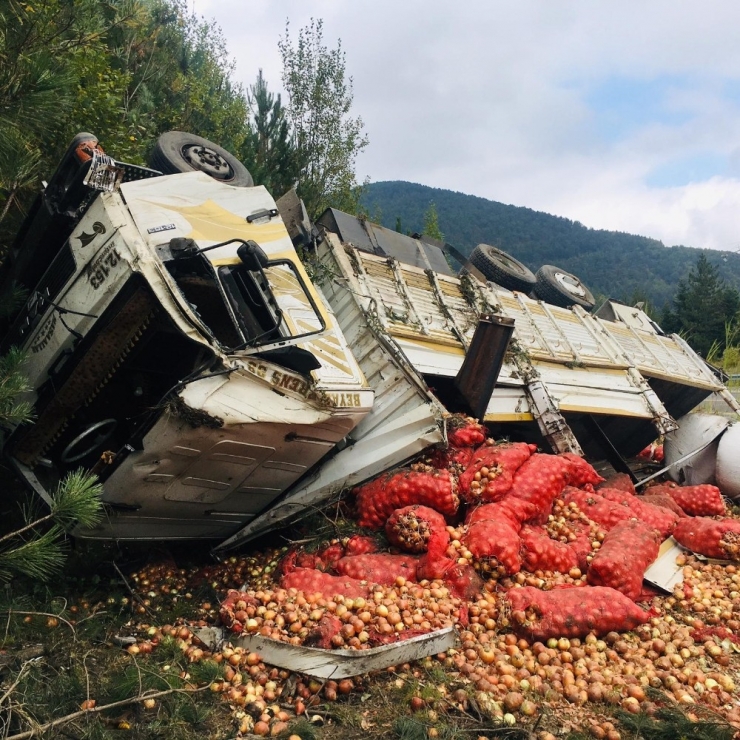 Soğan Yüklü Kamyon Devrildi: 1 Yaralı