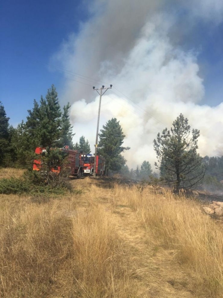 Kızılcahamam Üyücek Yaylasında Yangın