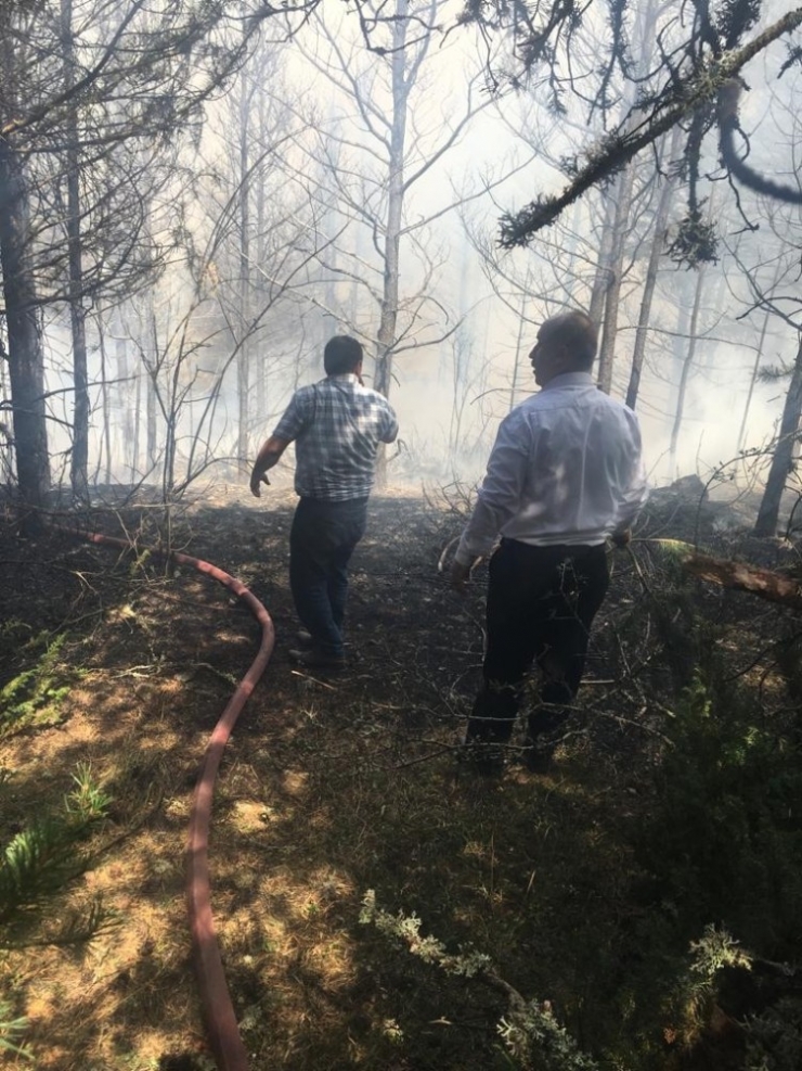 Kızılcahamam Üyücek Yaylasında Yangın