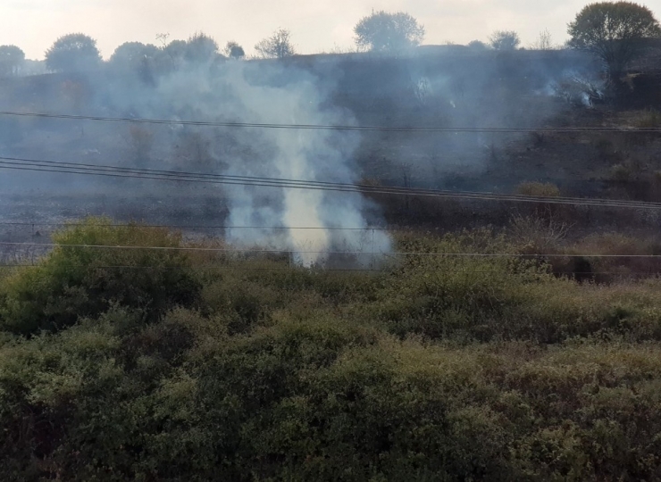 Nükleer Araştırma Merkezi’nde Ağaçlık Alanda Yangın