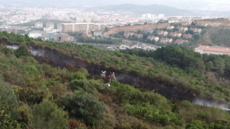 Aydos Ormanında Yangın
