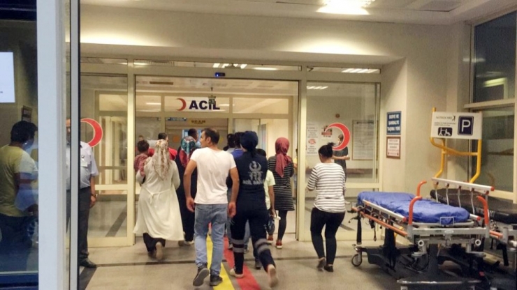 Kestiği Ağacın Altında Kalarak Öldü