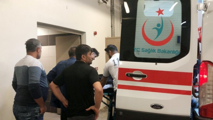 Kestiği Ağacın Altında Kalarak Öldü