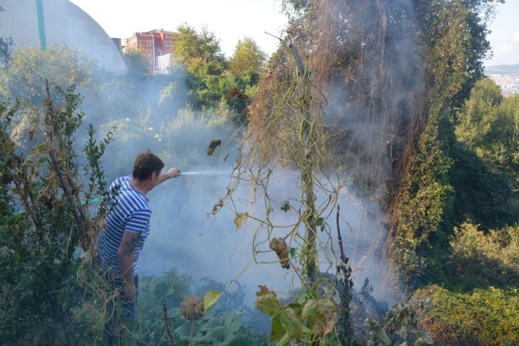 Çalılık Yangını Evlere Sıçramadan Söndürüldü