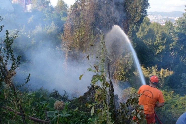 Çalılık Yangını Evlere Sıçramadan Söndürüldü