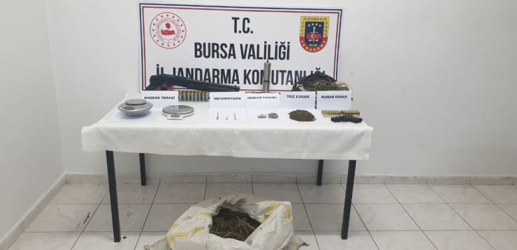 Jandarma Ekiplerinden Uyuşturucu Baskını