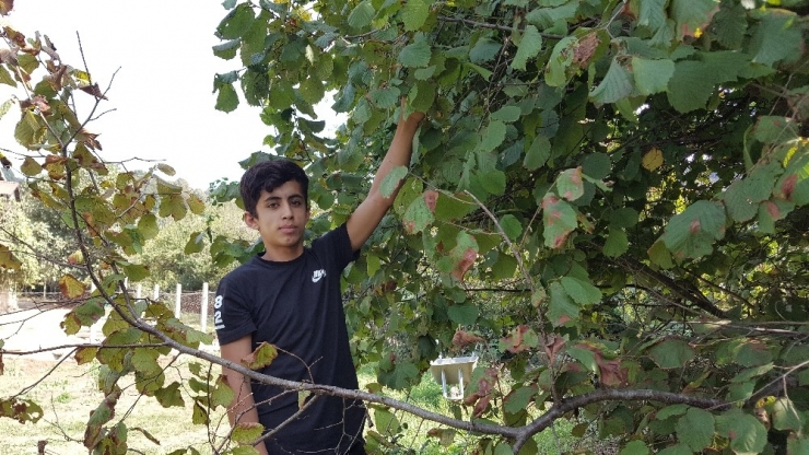 Kilometrelerce Uzaktan Okul Harçlıklarını Biriktirmek İçin Geldiler