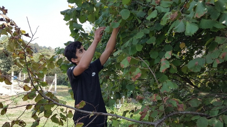 Kilometrelerce Uzaktan Okul Harçlıklarını Biriktirmek İçin Geldiler