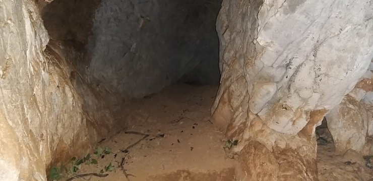 Jandarma’dan Defineci Operasyonu