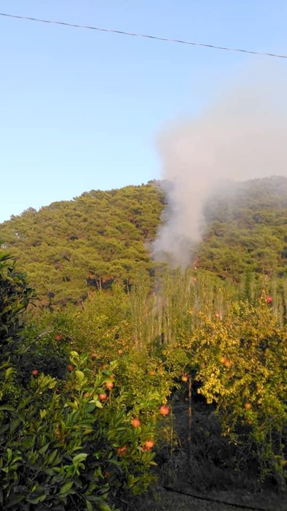 Ortaca’da Orman Yangını