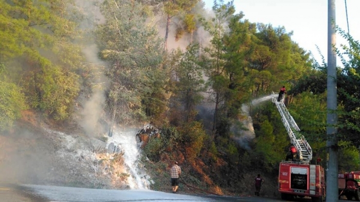 Ortaca’da Orman Yangını