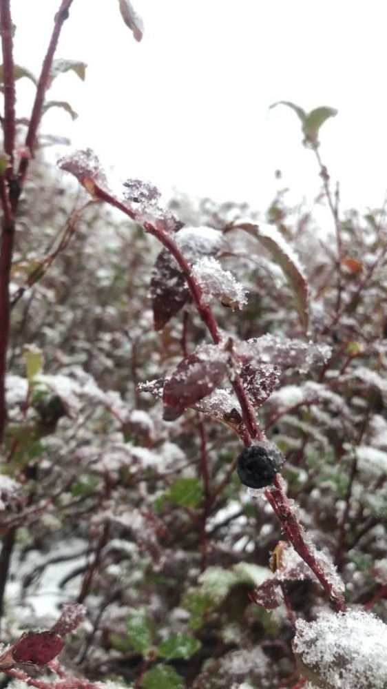 Macahel’e Mevsimin İlk Karı Yağdı
