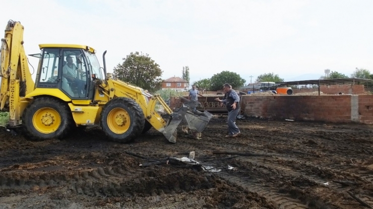 Burhaniye’de Ağıl Yangınında 42 Keçi Telef Oldu