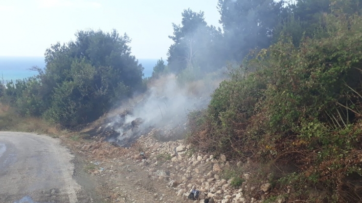 Samandağ’da Kuru Ot Yangını Korkuttu