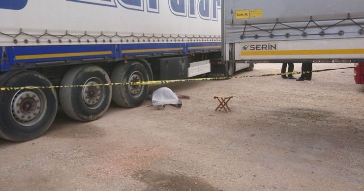 Uzun Yoldan Geldi Kalbine Yenik Düştü