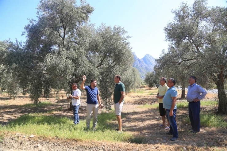 Çiftçilere Zeytincilik Ve Narenciye Yetiştiriciliği Eğitimi Verildi