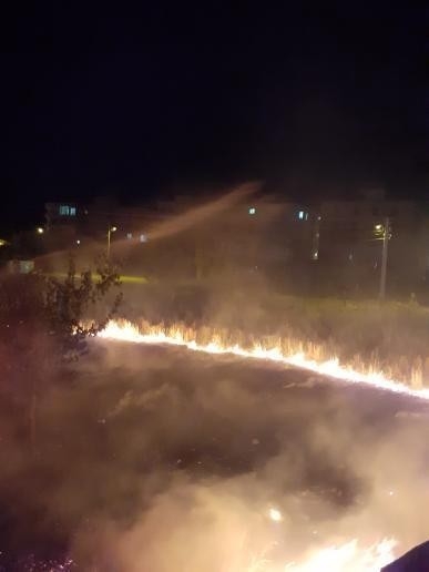 Akaryakıt İstasyonu Yakınındaki Otluk Yangını Korkuttu