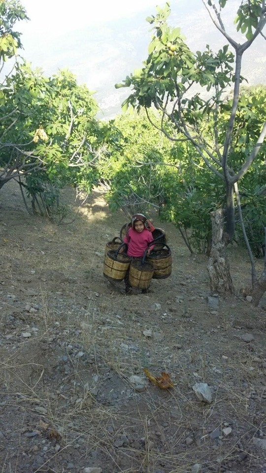 Elif’in Maşallahı Var