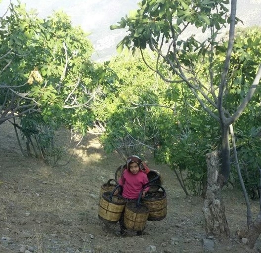 Elif’in Maşallahı Var