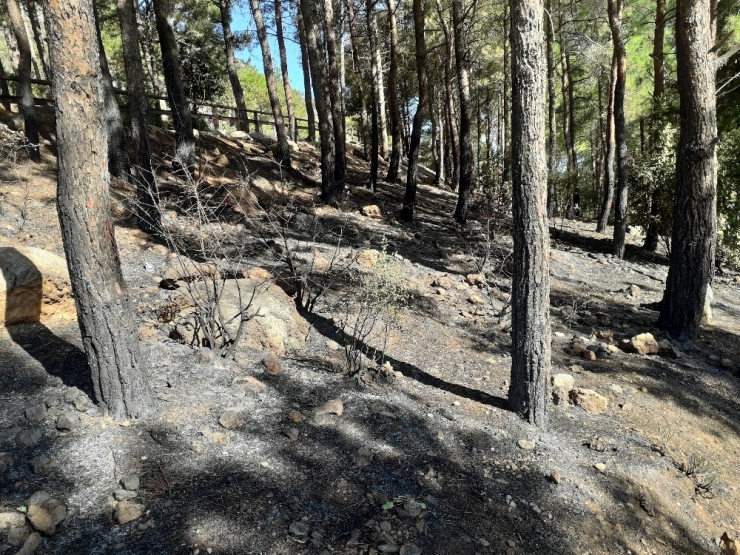 Tarihi Kozan Kalesi’ndeki Yangında 3 Dekar Alan Zarar Gördü