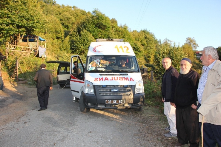 Yaşlı Kadın Fındık Bahçesinde Ölü Bulundu