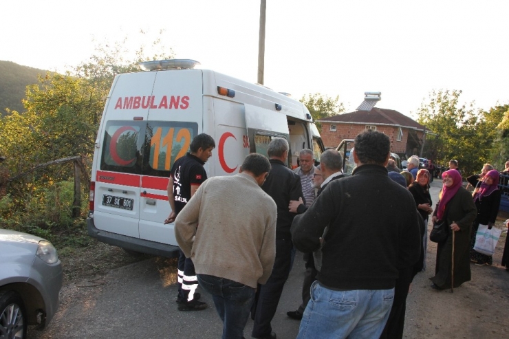 Yaşlı Kadın Fındık Bahçesinde Ölü Bulundu