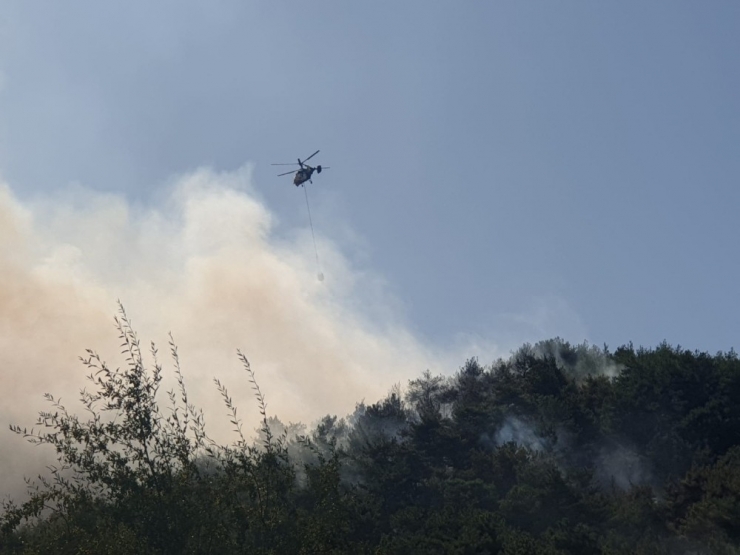Osmaniye’de Orman Yangını