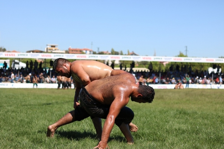 Manisa’da 4. Kez Düzenlenen Yuntdağı Yağlı Pehlivan Güreşleri Başladı