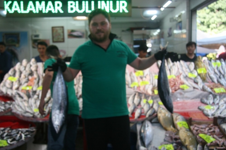 Denizli’de Balık Fiyatları Uygun Olunca İlgi De Büyük Oldu