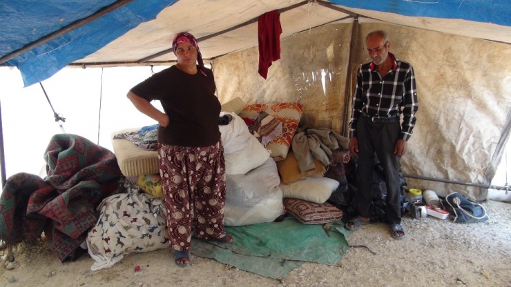 14 Yıldır Naylon Çadırda Yaşayan Aile 5 Çocuğunu Çocuk Esirgeme Kurumuna Verdi