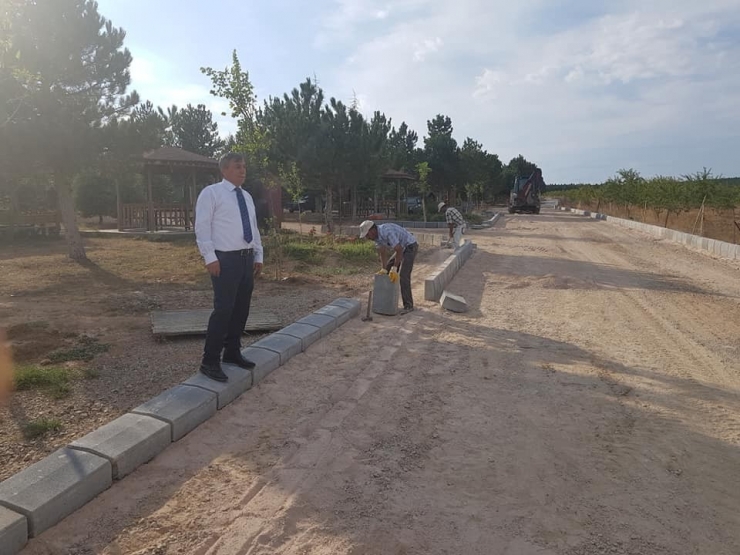 Mesire Alanında Yol Ve Peyzaj Çalışmaları