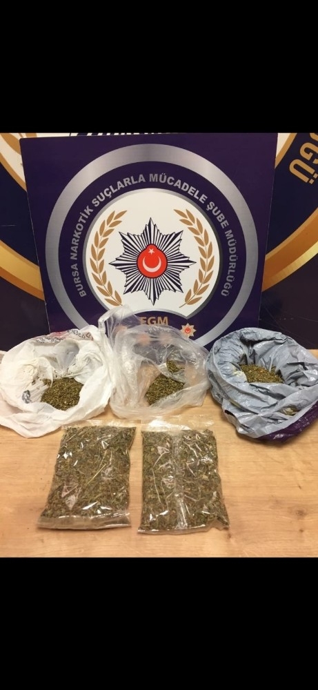 Bursa’da Narkotik Operasyonu: 17 Kişi Gözaltında