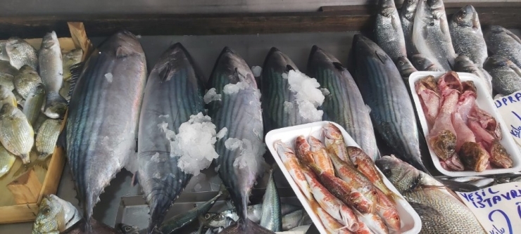 Torik 150 Liradan Tezgahlarda