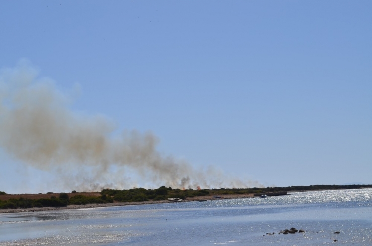 Didim’de 60 Dönümlük Makilik Alan Yandı